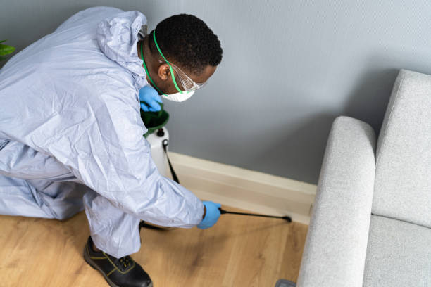 Trusted Norristown, PA Pest control Experts